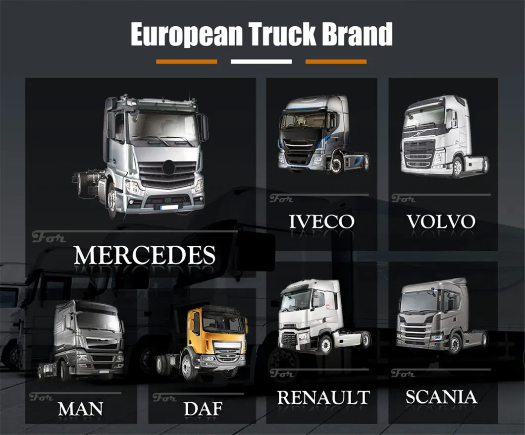 Europe, Japanese Auto Car Spare Truck Parts for Mercedes-Benz/Volvo/Man/Scania/Renault/Daf/Iveco/ Isuzu/ Mitsubishi/ Hino/Hyundai/Toyota Body/Brake/Engine Parts